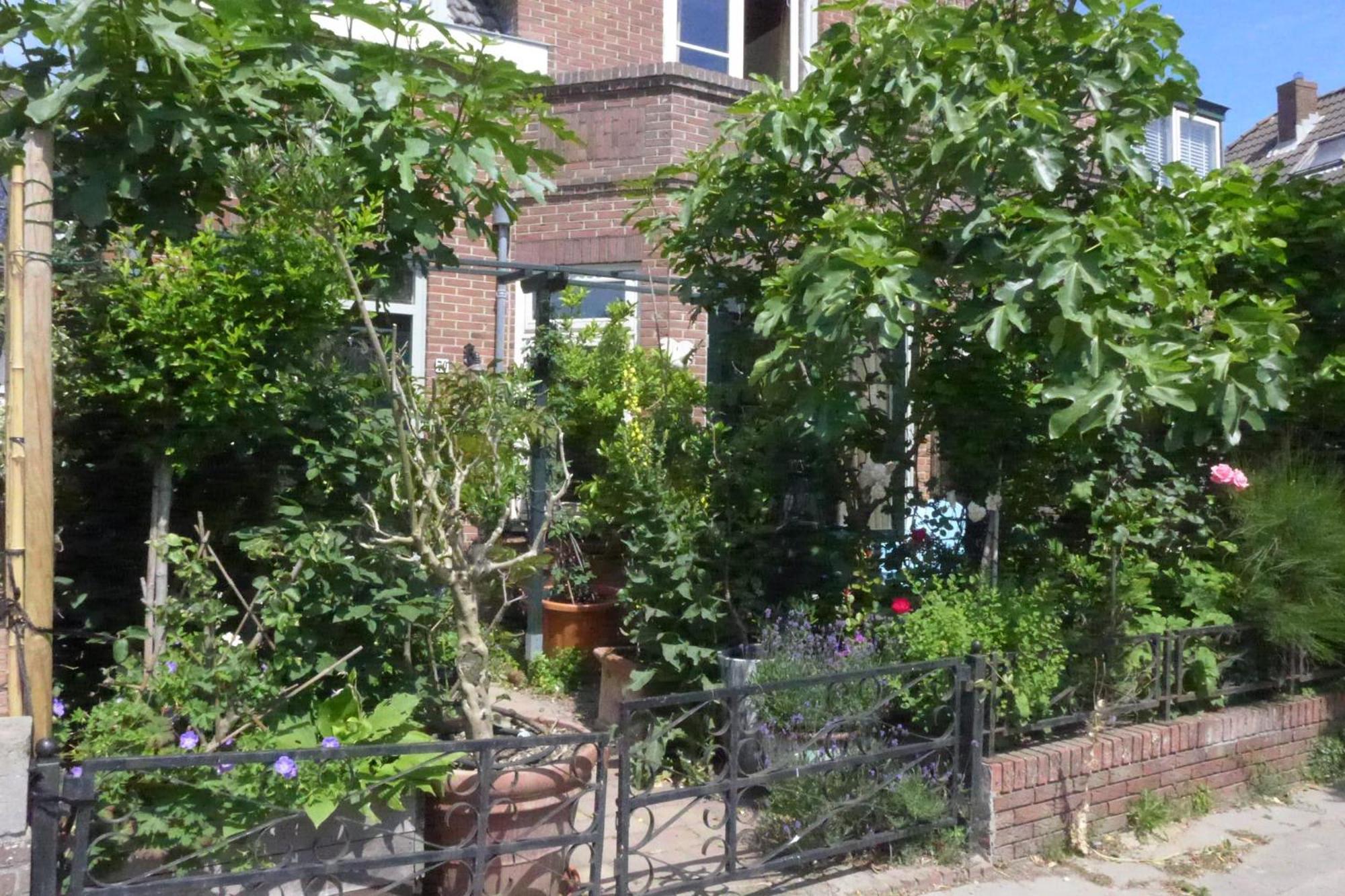 Family Home Marie 잔드보르트 외부 사진