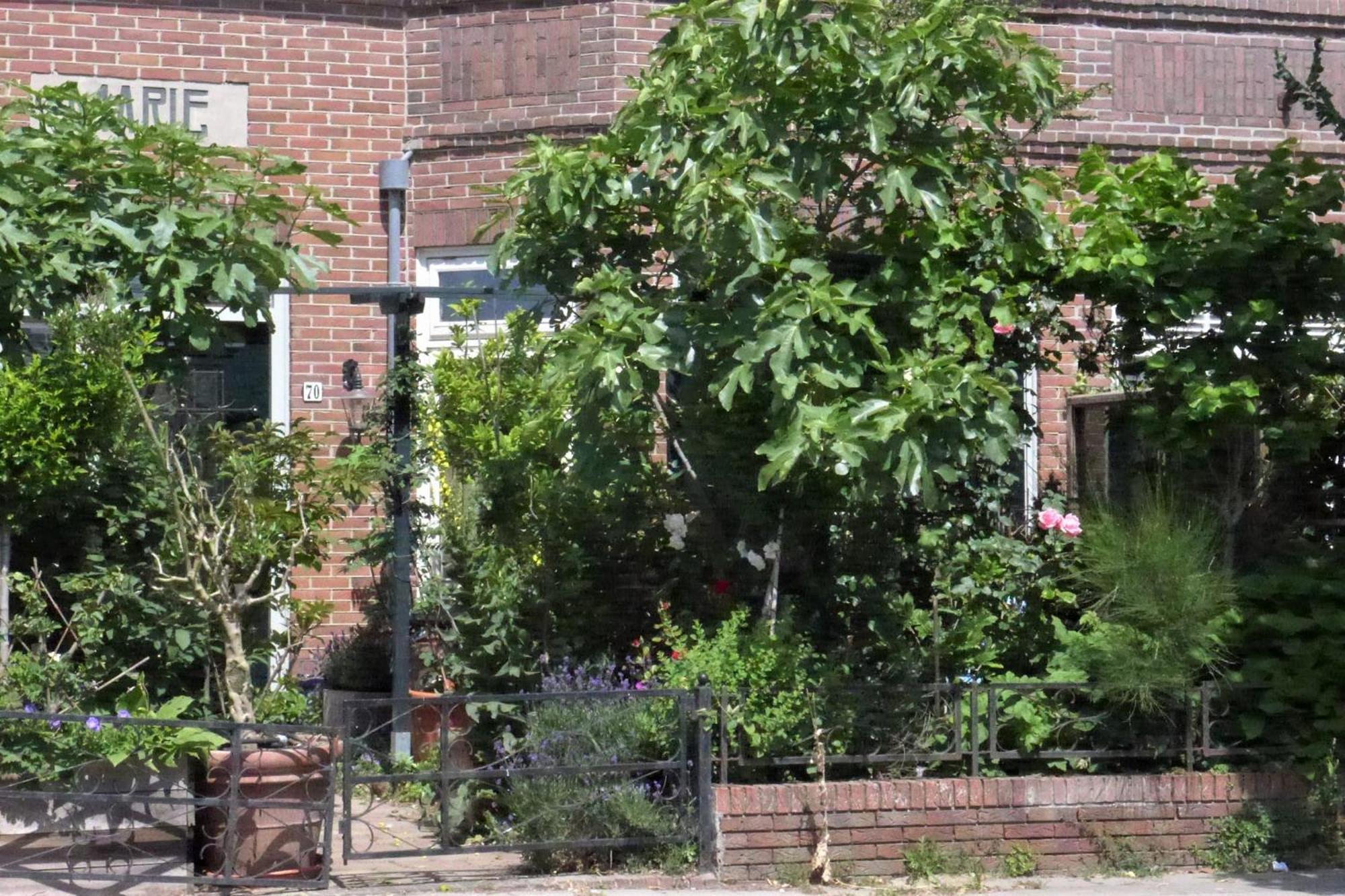Family Home Marie 잔드보르트 외부 사진