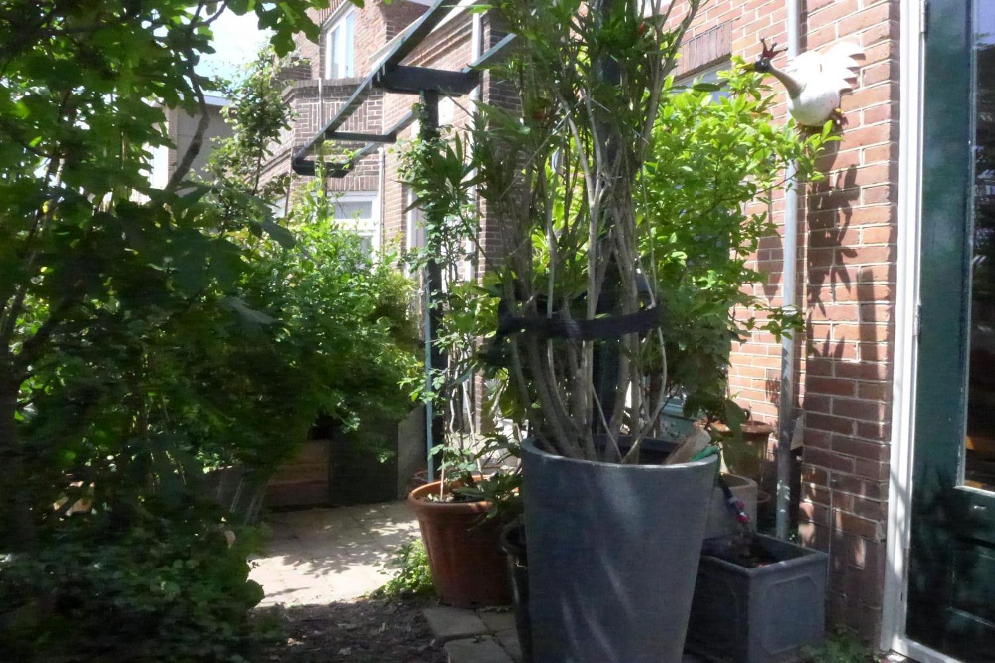 Family Home Marie 잔드보르트 외부 사진