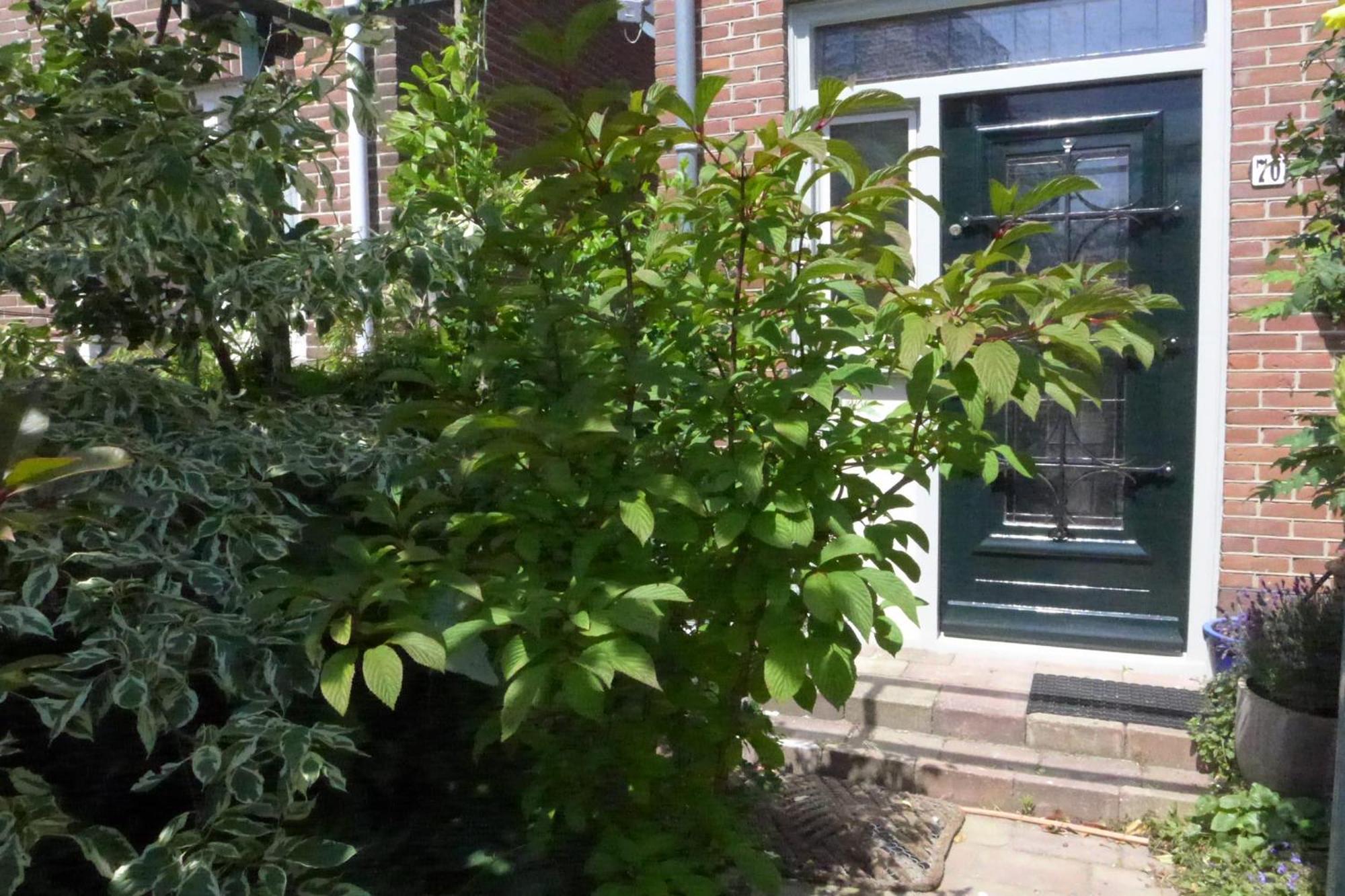 Family Home Marie 잔드보르트 외부 사진